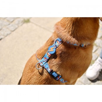 Dashi Σαμαράκι Σκύλου Muskehounds Medium 42-69cm
