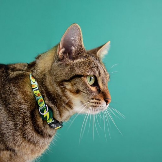 Dashi Περιλαίμιο Γάτας Avocado