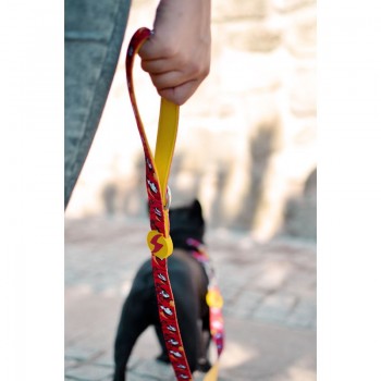 Dashi Λουρί Οδηγός Σκύλου Dogtanian Large