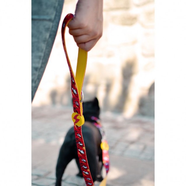 Dashi Λουρί Οδηγός Σκύλου Dogtanian Small
