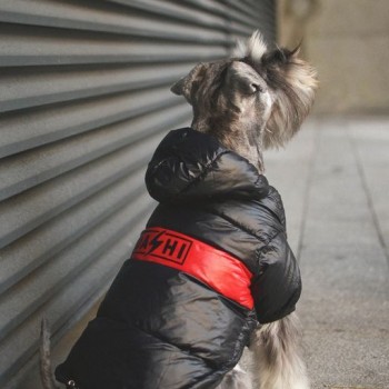 Dashi Stripes Red And Black Anorak XSmall