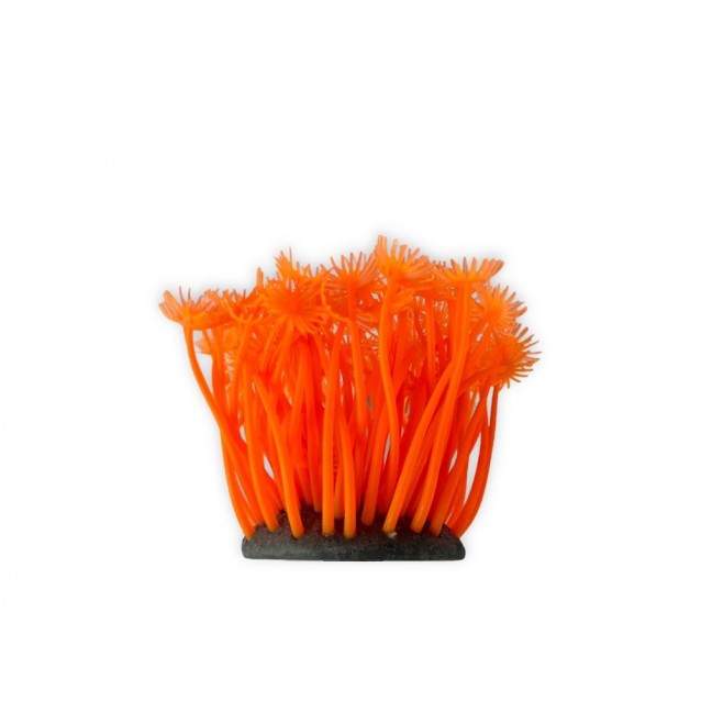 Aqua One Copi Coral Φυτό Soft Xenia 7x10cm