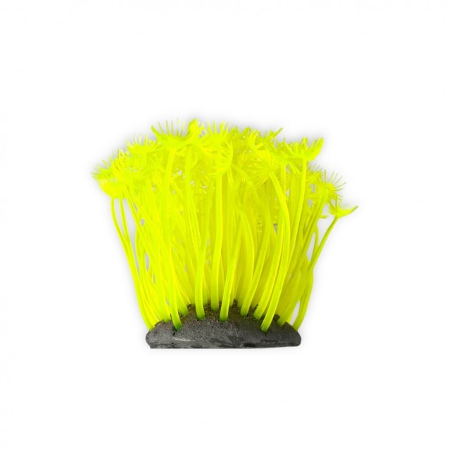 Aqua One Copi Coral Φυτό Soft Xenia 7x10cm