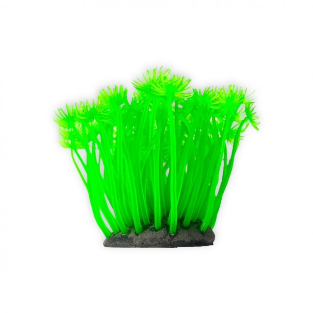 Aqua One Copi Coral Φυτό Soft Xenia 7x10cm