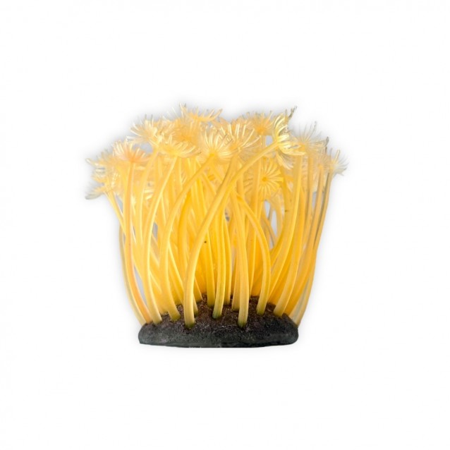 Aqua One Copi Coral Φυτό Soft Xenia 7x10cm