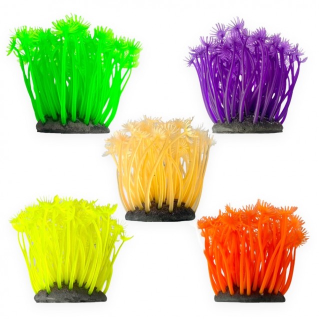 Aqua One Copi Coral Φυτό Soft Xenia 7x10cm