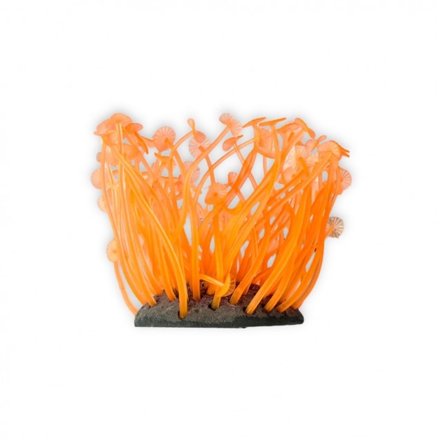 Aqua One Copi Coral Φυτό Soft Zoanthus 7x9cm