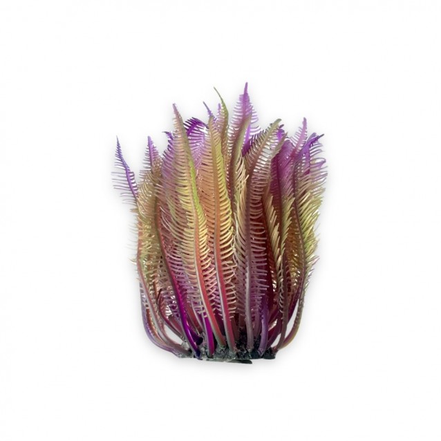 Aqua One Copi Coral Φυτό Soft Fern Anenome 5x12cm
