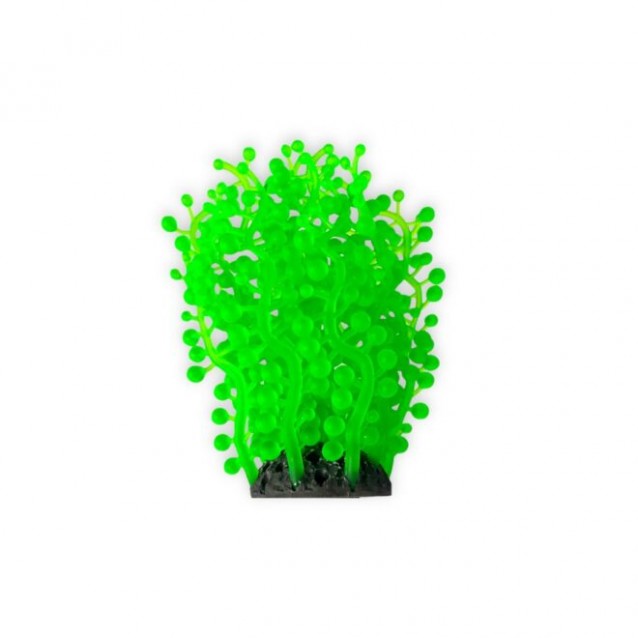 Aqua One Copi Coral Φυτό Soft Neptune’s Necklace 4,8×13,2cm