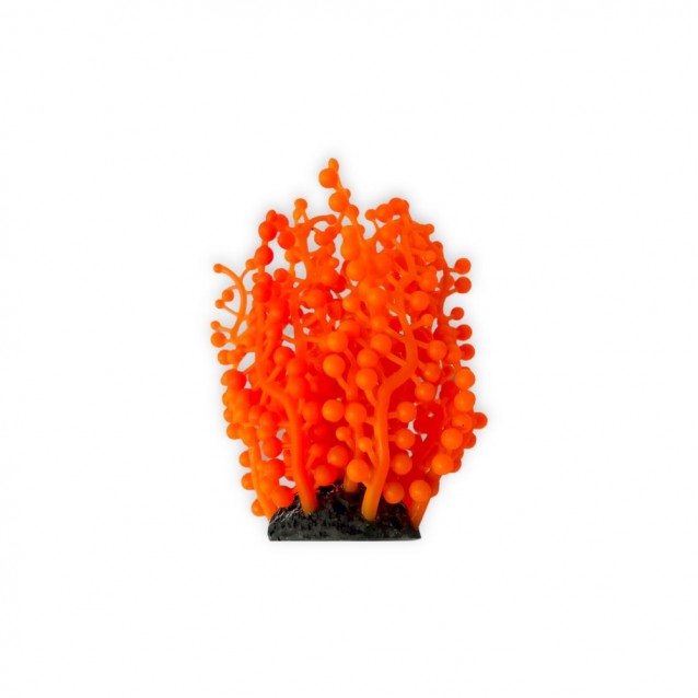 Aqua One Copi Coral Φυτό Soft Neptune’s Necklace 4,8×13,2cm