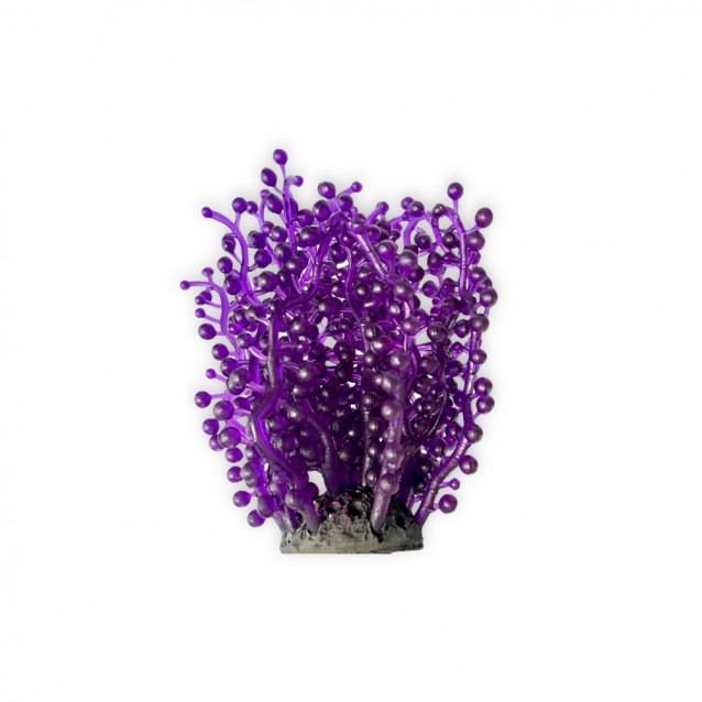 Aqua One Copi Coral Φυτό Soft Neptune’s Necklace 4,8×13,2cm