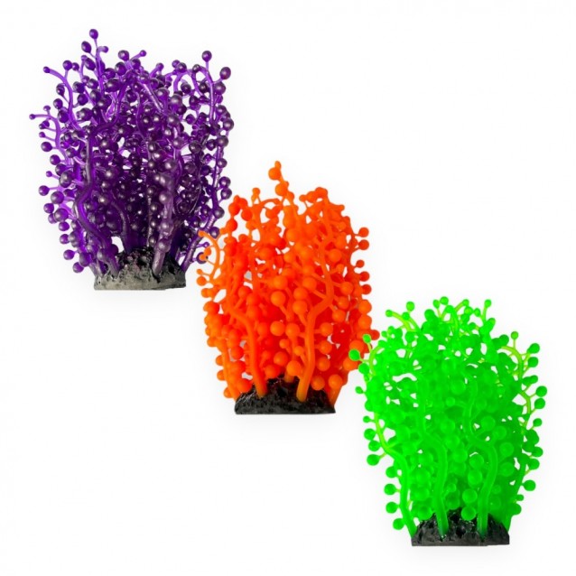 Aqua One Copi Coral Φυτό Soft Neptune’s Necklace 4,8×13,2cm