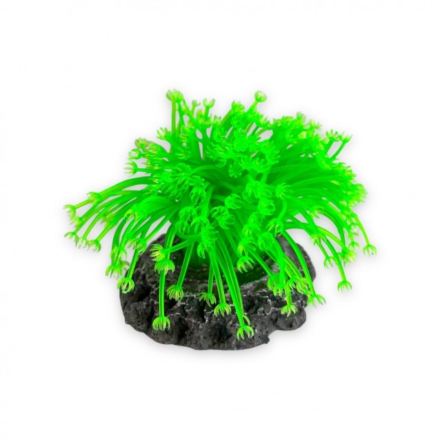 Aqua One Copi Coral Φυτό Soft Colonial Coral Large 9x9cm