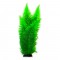 Aqua One Πλαστικό Φυτό Ενυδρείου Broad Leaf Fern 40cm