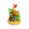 Aqua One Διακοσμητικό Ενυδρείου Hairgrass & Red Ludwigia on Rock 16x16x19cm