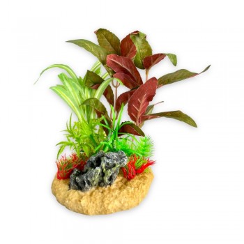 Aqua One Διακοσμητικό Ενυδρείου Variegated Rush & Red Rotala 22x22x20cm