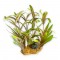 Aqua One Υφασμάτινο Φυτό Ενυδρείου Polygonum/Pennywort on Rock 25x15x22cm