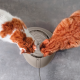 Imac Συντριβάνι Σκύλου & Γάτας Pet Fountain Καφέ 2lt