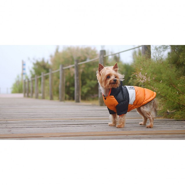 Dashi Stripes Orange And Black Anorak Extra Large