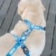 Dashi Σαμαράκι Σκύλου Popeye Small 32-53cm