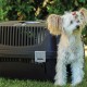 Pet Plast Art Κλουβί Μεταφοράς Κατοικίδιων Με Πλαστική Πόρτα Μαύρο Max 5-6kg