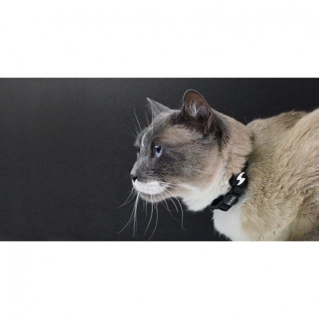 Dashi Περιλαίμιο Γάτας Colorflex Black