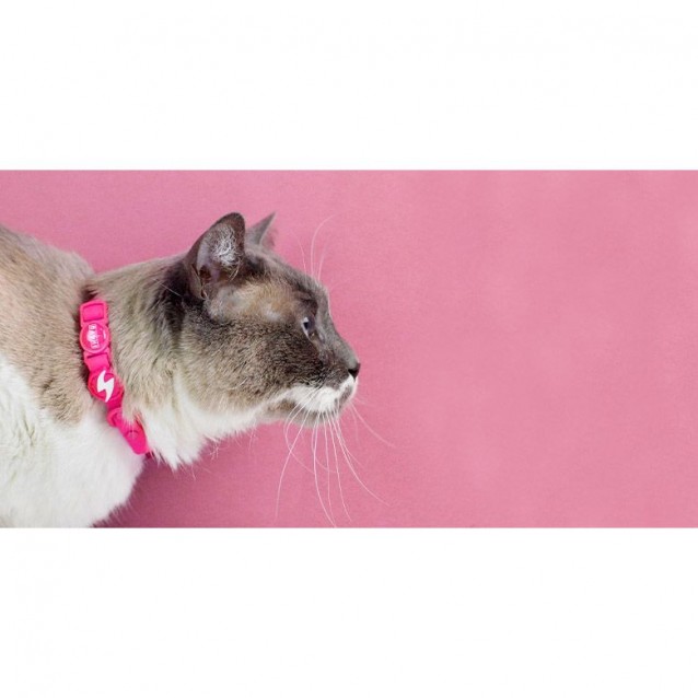 Dashi Περιλαίμιο Γάτας Colorflex Pink