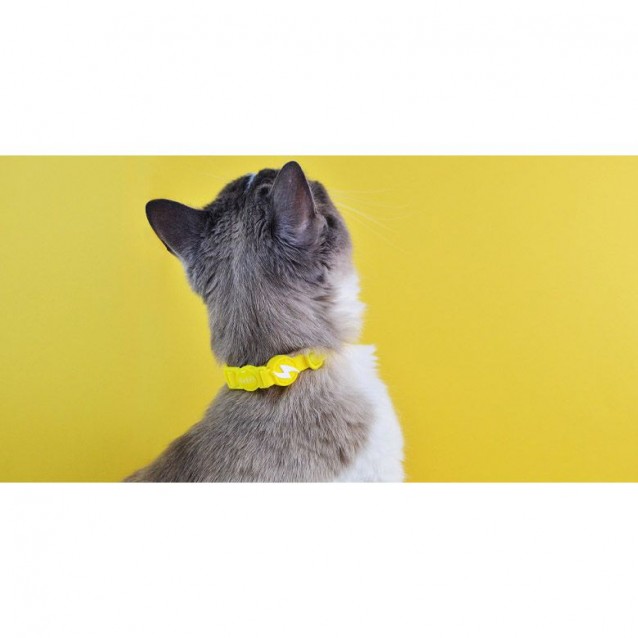 Dashi Περιλαίμιο Γάτας Colorflex Yellow