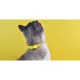 Dashi Περιλαίμιο Γάτας Colorflex Yellow