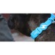 Dashi Περιλαίμιο Κολάρο Σκύλου Colorflex Blue Large