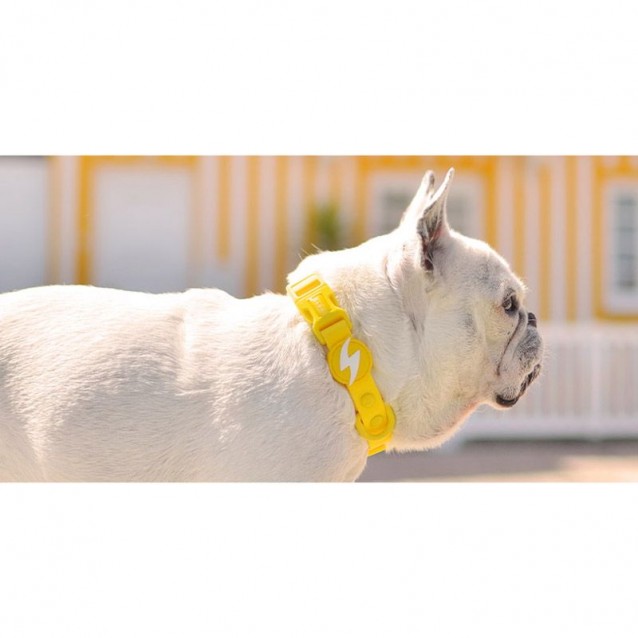 Dashi Περιλαίμιο Κολάρο Σκύλου Colorflex Yellow Small