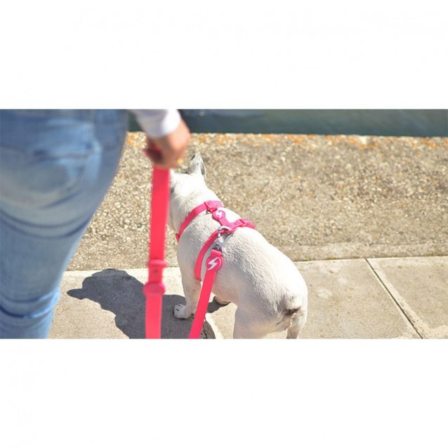 Dashi Σαμαράκι Σκύλου Colorflex Pink XSmall 23-38cm