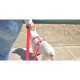 Dashi Σαμαράκι Σκύλου Colorflex Pink XSmall 23-38cm