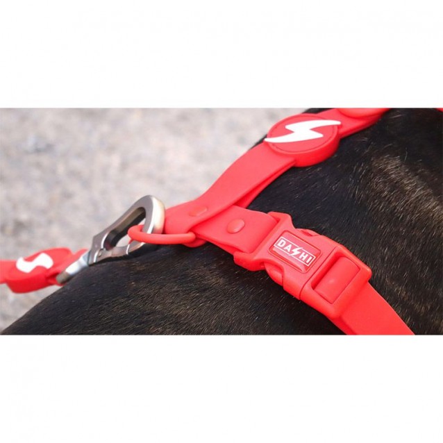 Dashi Σαμαράκι Σκύλου Colorflex Red XSmall 23-38cm