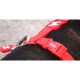 Dashi Σαμαράκι Σκύλου Colorflex Red XSmall 23-38cm