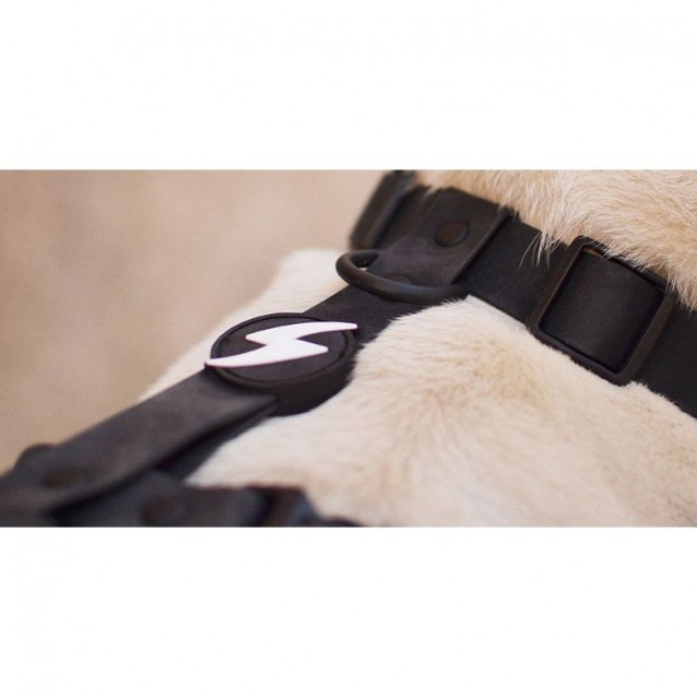 Dashi Σαμαράκι Σκύλου Colorflex Black Small 32-53cm