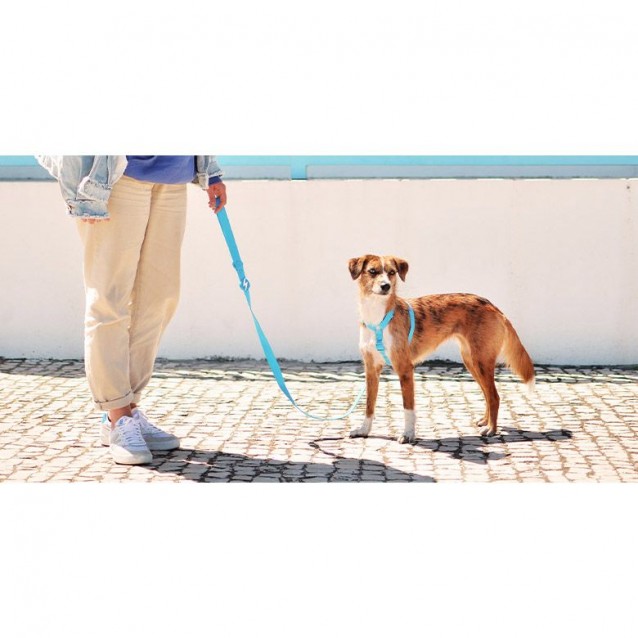 Dashi Σαμαράκι Σκύλου Colorflex Blue Medium 42-69cm