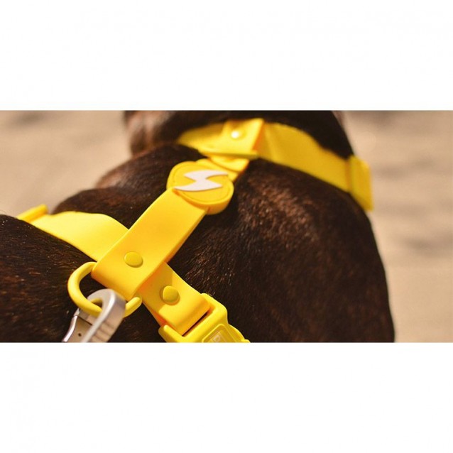 Dashi Σαμαράκι Σκύλου Colorflex Yellow Medium 42-69cm