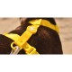 Dashi Σαμαράκι Σκύλου Colorflex Yellow Medium 42-69cm