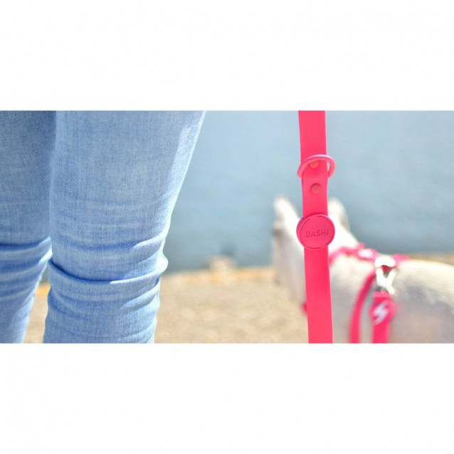 Dashi Λουρί Οδηγός Σκύλου Colorflex Pink Large