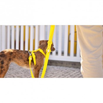 Dashi Λουρί Οδηγός Σκύλου Colorflex Yellow Large