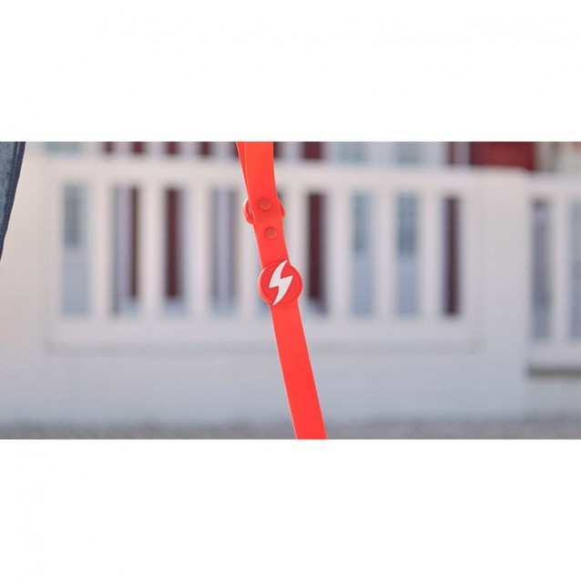 Dashi Λουρί Οδηγός Σκύλου Colorflex Red Large