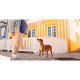 Dashi Λουρί Οδηγός Σκύλου Colorflex Yellow Medium