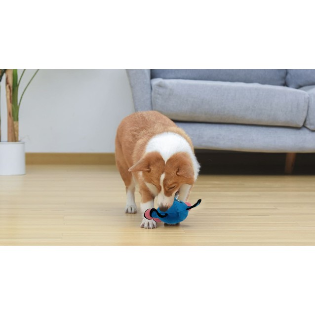 Fantasy World Tough Toy Angry Pig 21x23.50cm