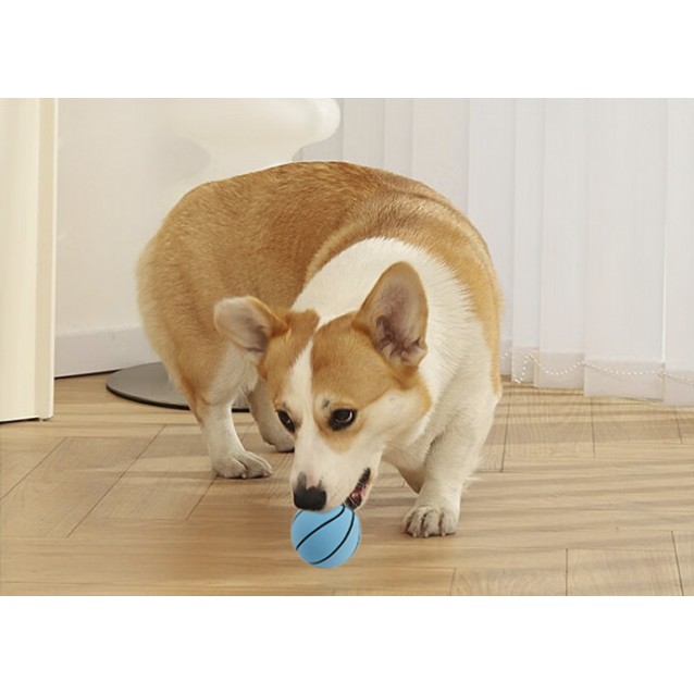 Fantasy World Fancy Dog Toy Bouncing Ball Set 3 Pcs 6cm