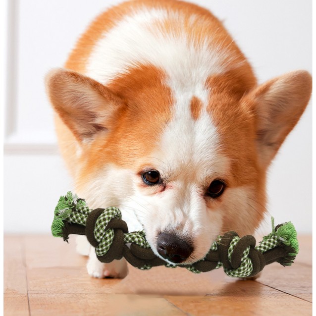 Fantasy World Fancy Dog Knot Rope Toy 5x28.50cm