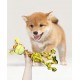 Fantasy World Melmans Adventures Rope Toy 10x35cm