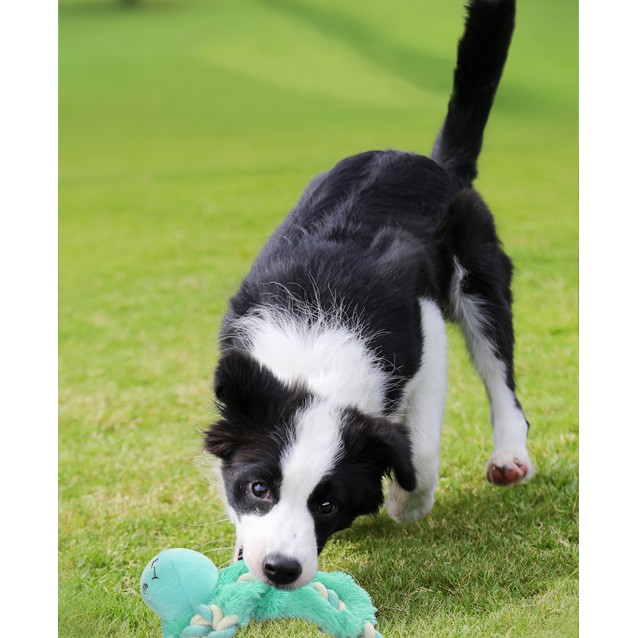 Fantasy World Vacation In Madagascar With Gloria Toy 17x22cm