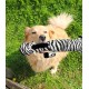 Fantasy World Welcome To The Jungle Plush Zebra Toy 17x55cm