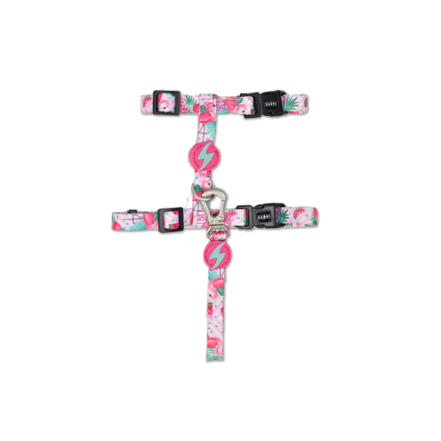 Dashi Σαμαράκι Γάτας Flamingo + Οδηγός